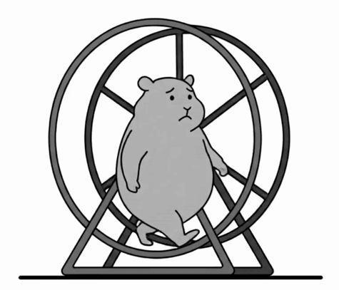 Hamster in wheel